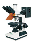 Trinocular Epifluorescent Microscopes