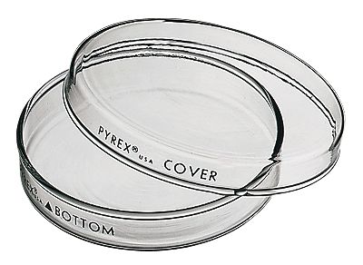 DISH COMP 150X15 PACK OF 12