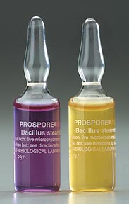 Prospore* Self-Contained Biological Indicator***CLICK ITEM FOR SIZE AND PRICE***
