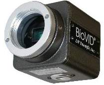 BioVID Video Camera